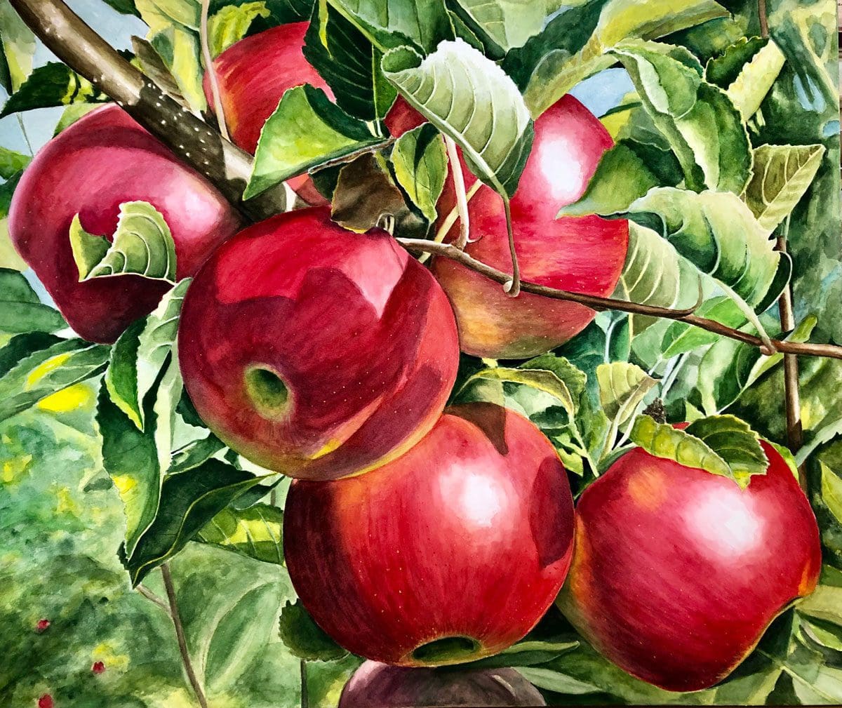 carol-corbett-apples-painting