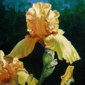 Oil/Acrylic Open Painting Studio - Wayne Hibschman - Winter Session 2