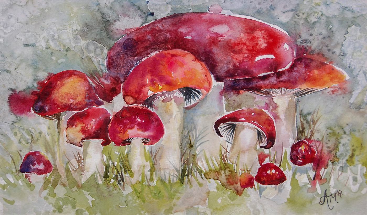 Amanda Gerace Mushrooms